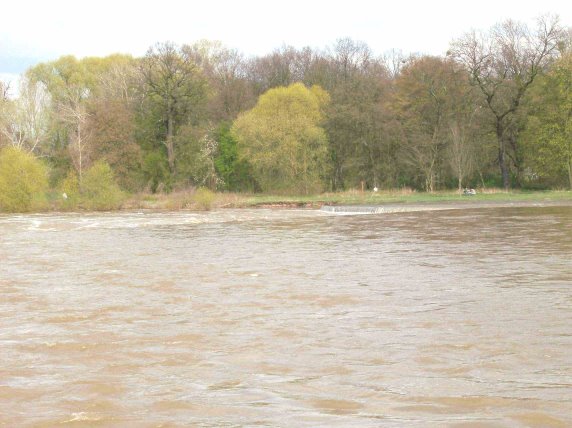Die Mulde am 16.04.2008
