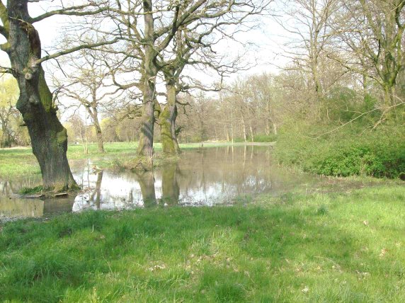 Vorderer Tiergarten