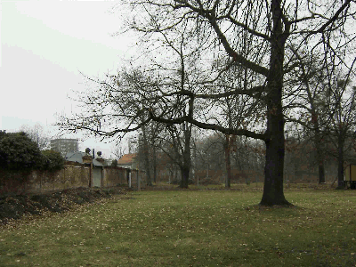 Außenanlage Außenanlage