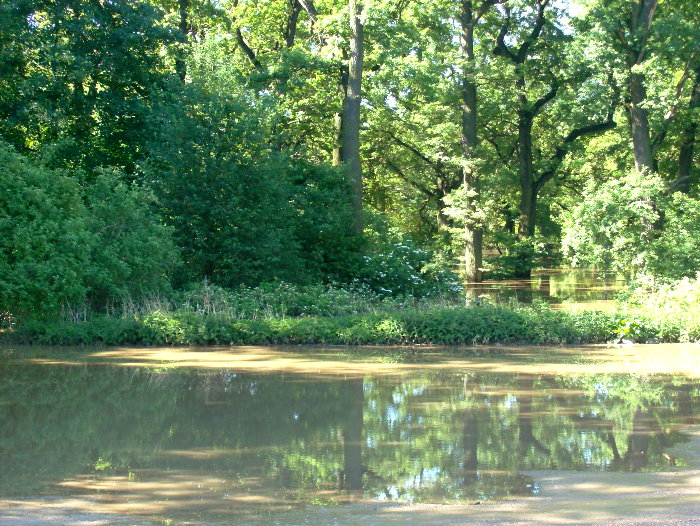 Vorderer Tiergarten