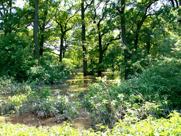 Tiergarten am 06.06.2013