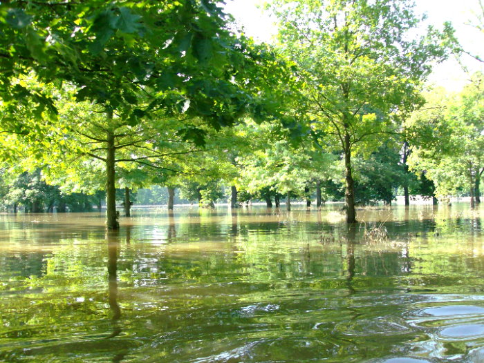 Vorderer Tiergarten