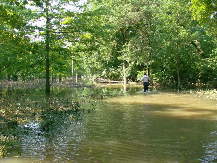 Zufahrt zum Vorderen Tiergarten