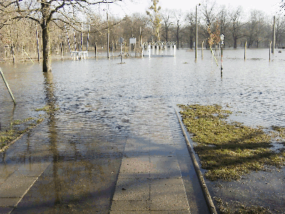 Wasser im Auengelnde